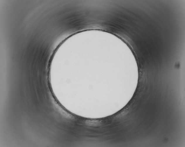 X0000111531135200908251156