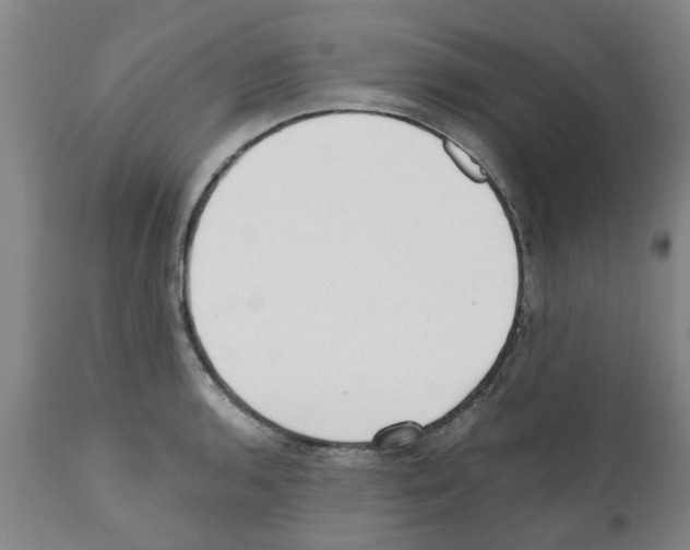 X0000111531136200908251156