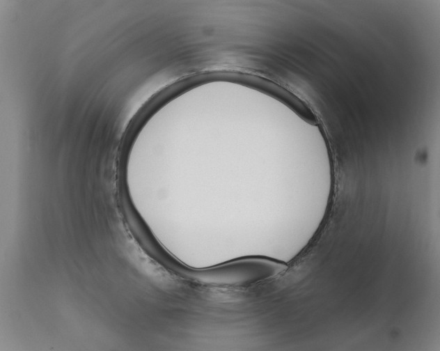 X0000111531138200908251156