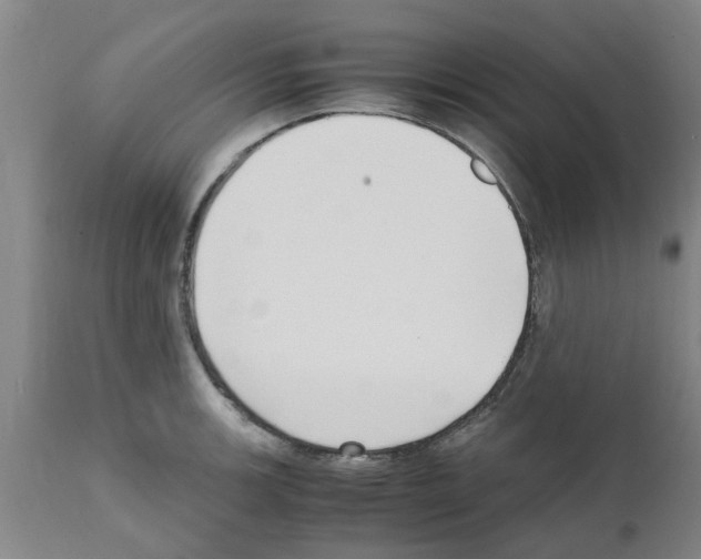 X0000111531139200908251156