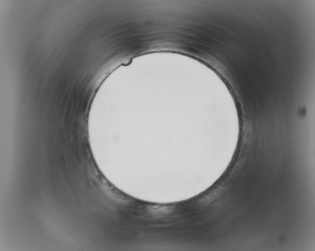 X0000111531145200908251156