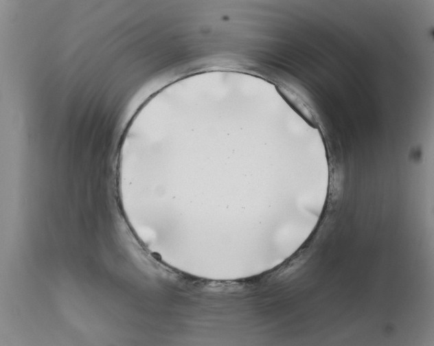 X0000111531146200908251156