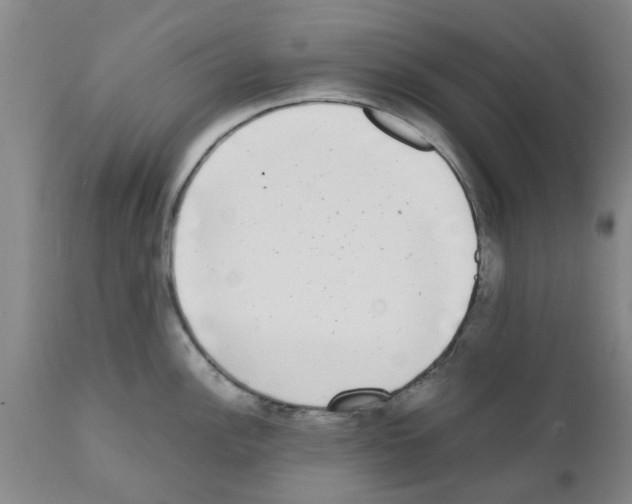 X0000111531148200908251156