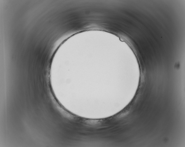 X0000111531149200908251156