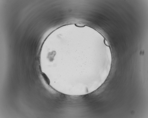 X0000111531152200908251156