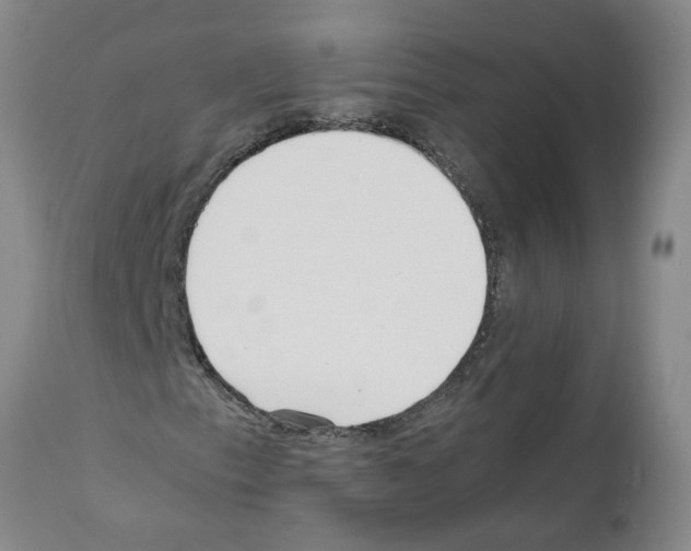 X0000111531153200908251155