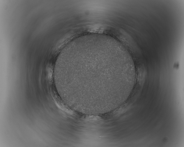 X0000111531154200908251155