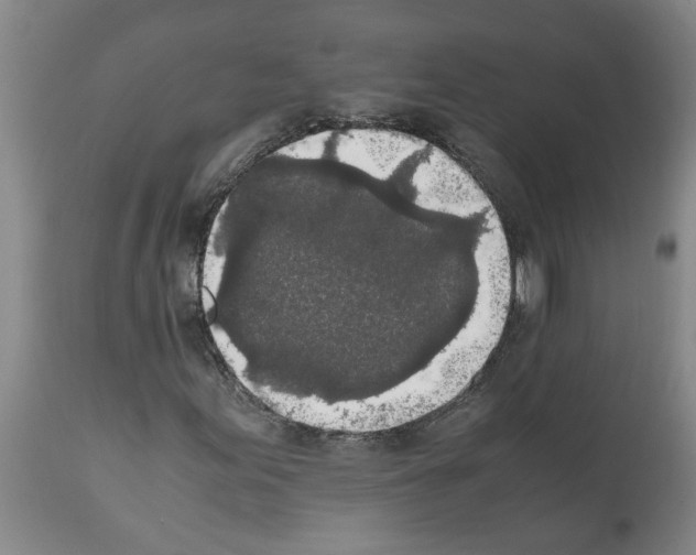 X0000111531155200908251155