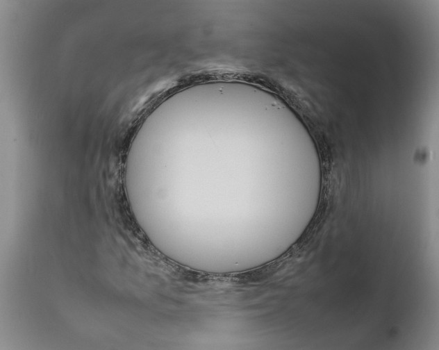 X0000111531157200908251155