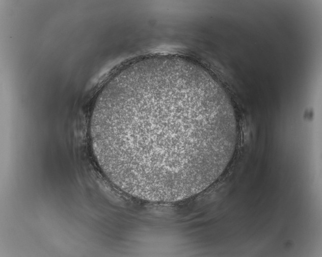 X0000111531158200908251155