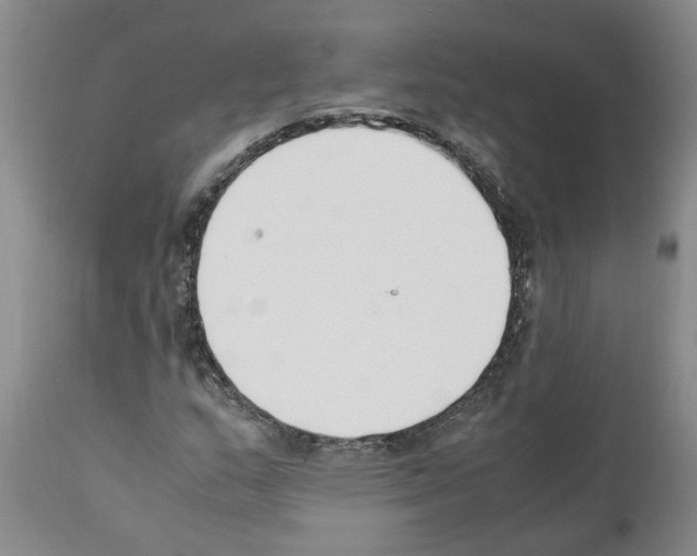 X0000111531159200908251155