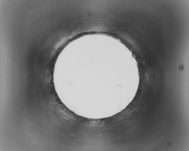 X0000111531160200908251155