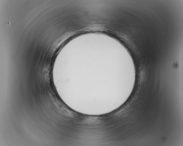 X0000111531162200908251155