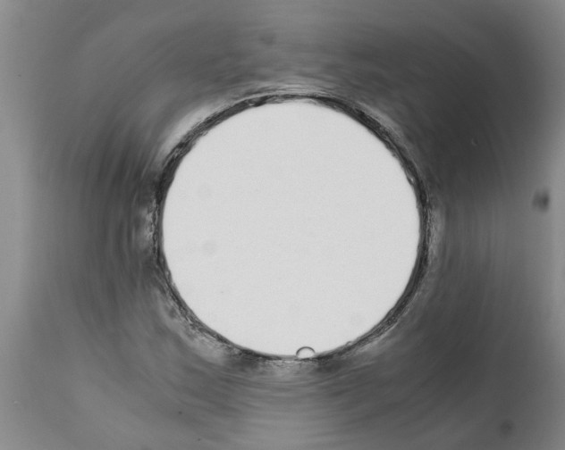 X0000111531163200908251155