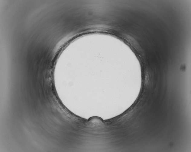 X0000111531164200908251155