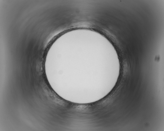 X0000111531166200908251155