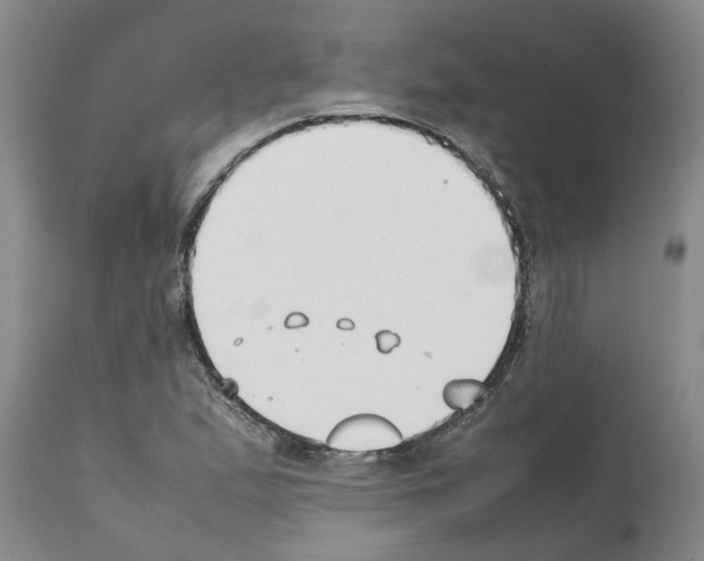 X0000111531167200908251155