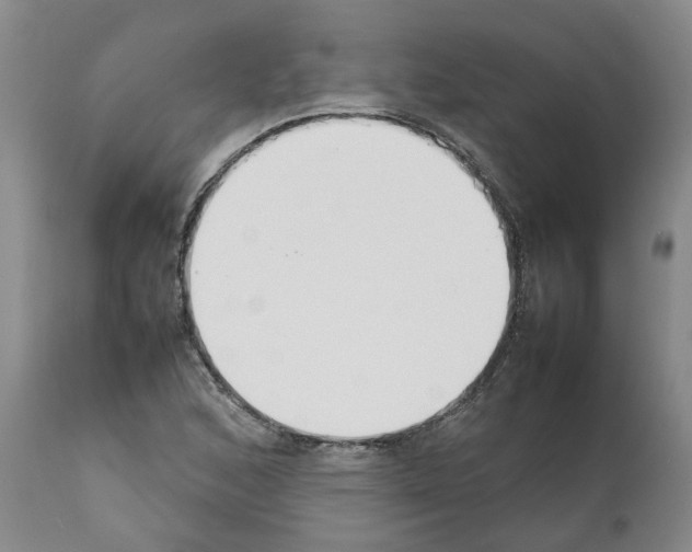 X0000111531168200908251155