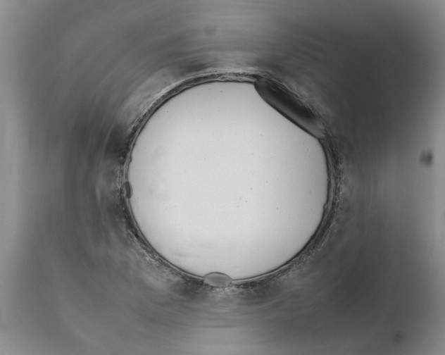 X0000111531169200908251155