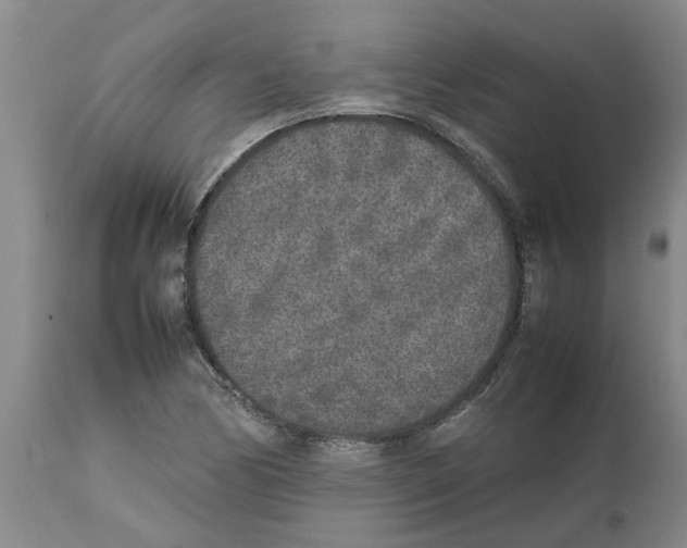 X0000111531170200908251155