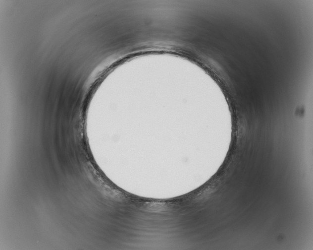 X0000111531172200908251155