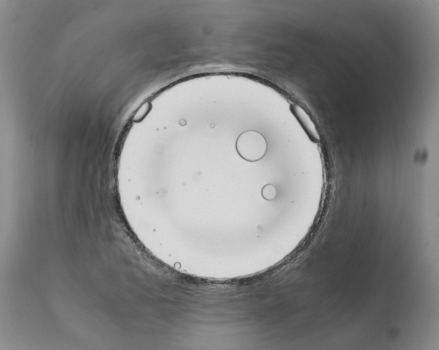 X0000111531173200908251155