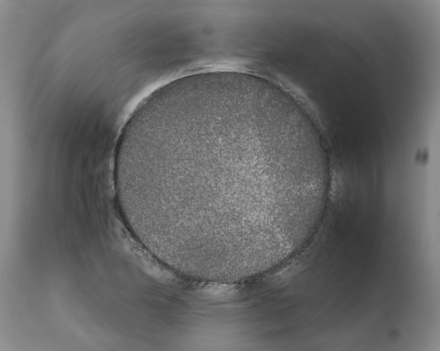 X0000111531174200908251155