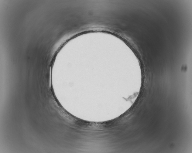 X0000111531175200908251155