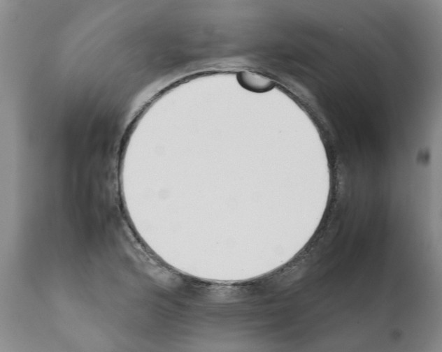 X0000111531176200908251155