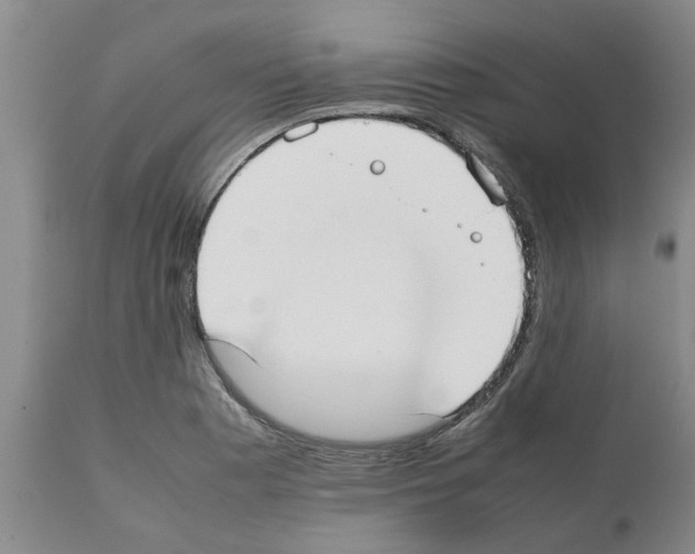 X0000111531177200908251155