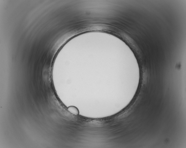 X0000111531178200908251155