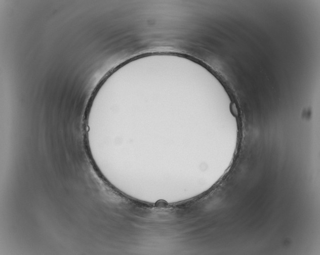 X0000111531181200908251155