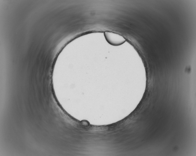 X0000111531183200908251155