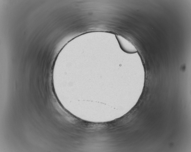 X0000111531187200908251155