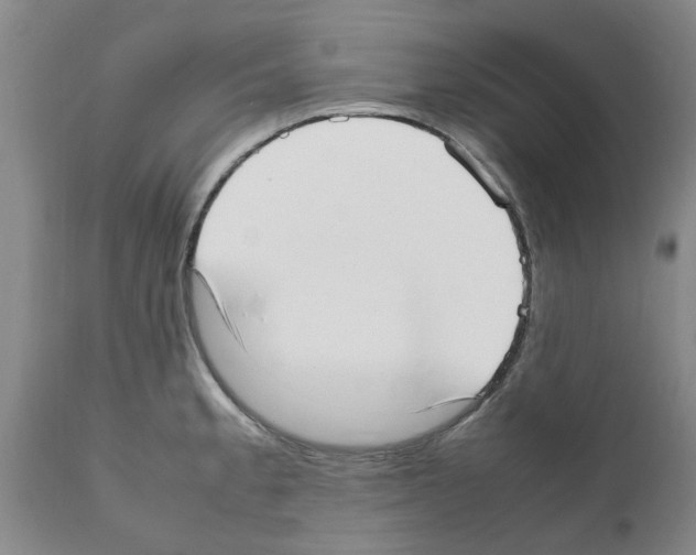 X0000111531189200908251155