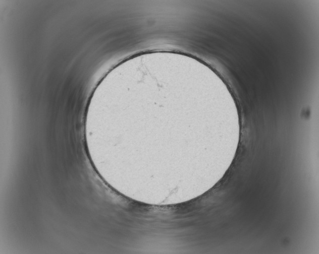 X0000111531191200908251154