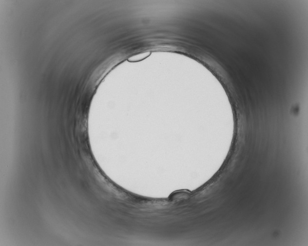 X0000111531193200908251154