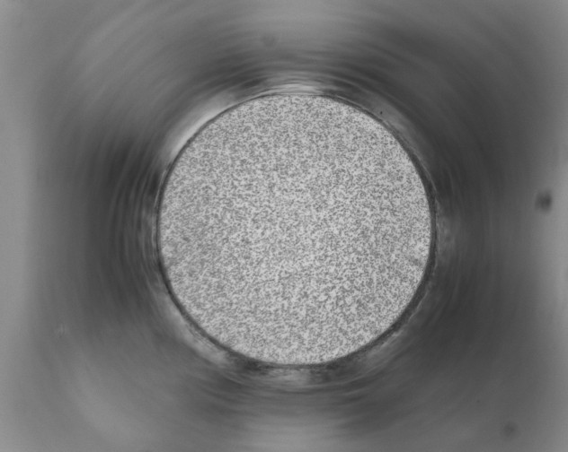 X0000111531194200908251154