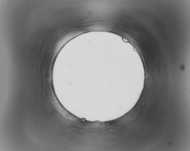 X0000111531195200908251154