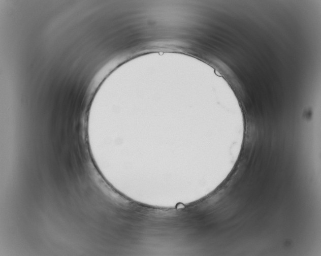 X0000111531196200908251154