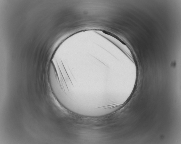 X0000111531197200908251154