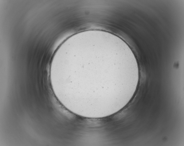 X0000111531198200908251154