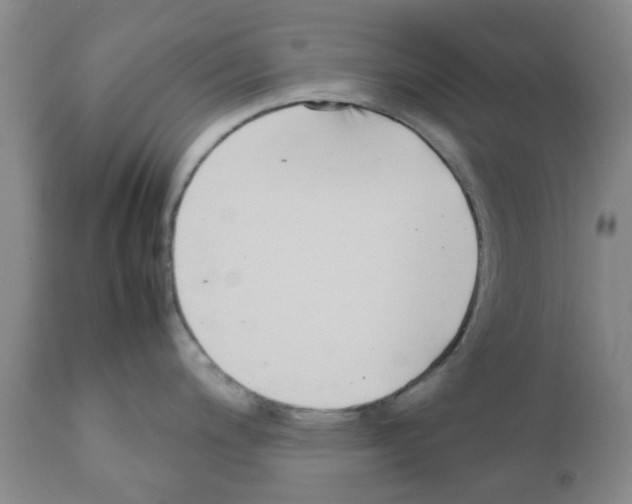 X0000111531200200908251154