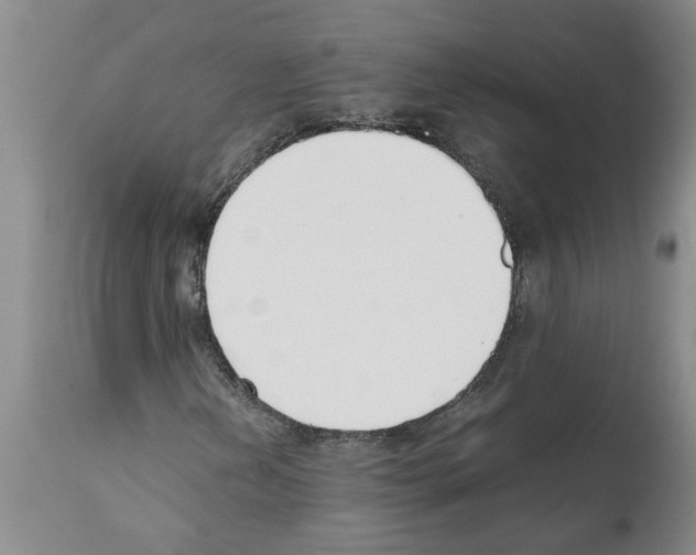 X0000111531202200908251154