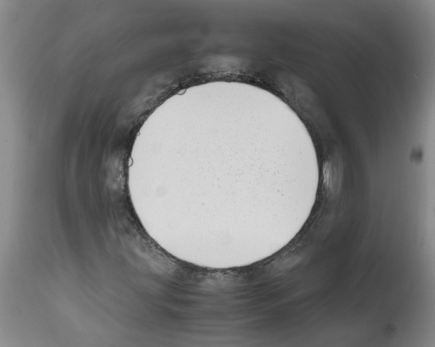 X0000111531203200908251154