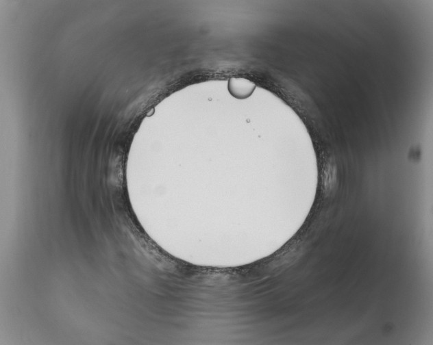 X0000111531204200908251154