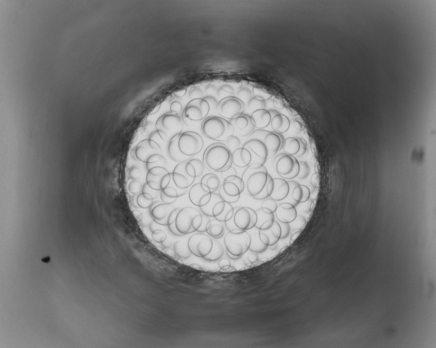 X0000111531205200908251154