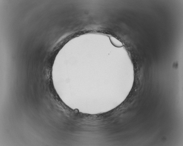 X0000111531206200908251154