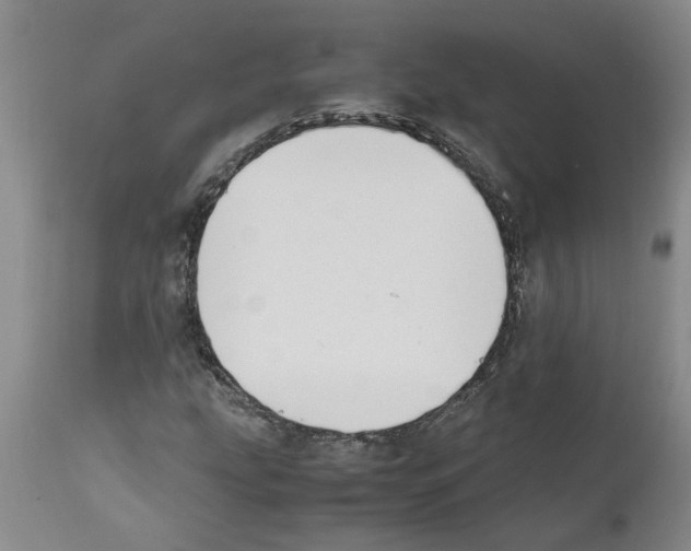 X0000111531207200908251154