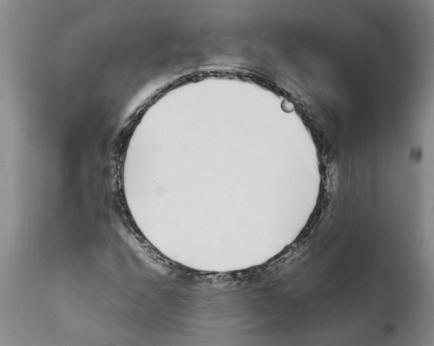 X0000111531208200908251154